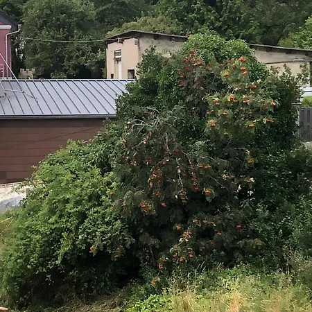 Neu Renovierte In Alter Schule Apartman