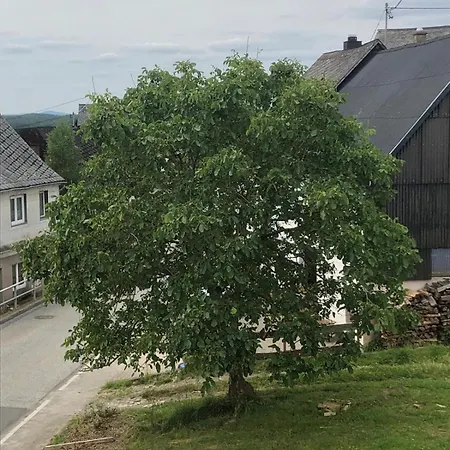 Neu Renovierte In Alter Schule Hattgenstein