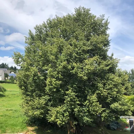 Neu Renovierte In Alter Schule *