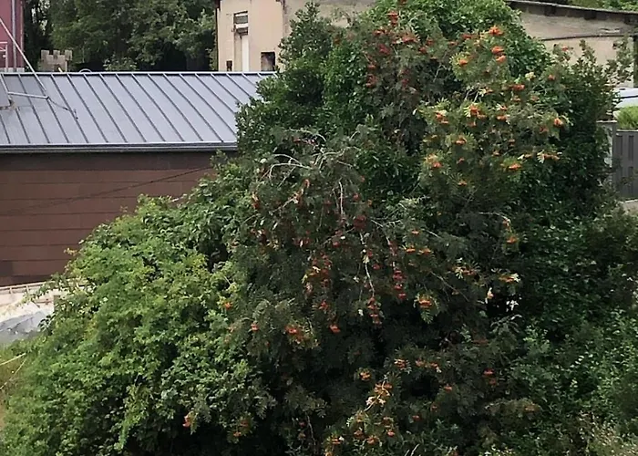 Neu Renovierte In Alter Schule Apartment