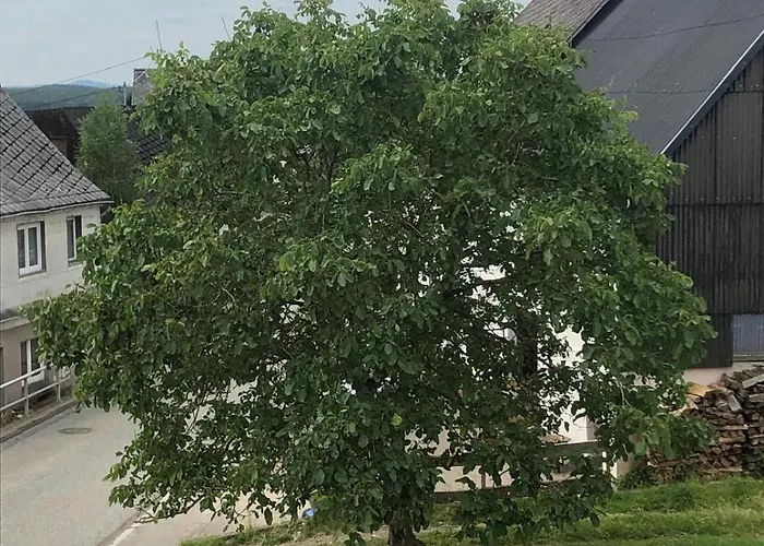 Neu Renovierte In Alter Schule Hattgenstein