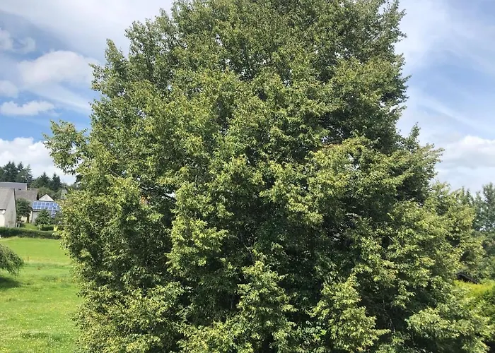 Neu Renovierte In Alter Schule *